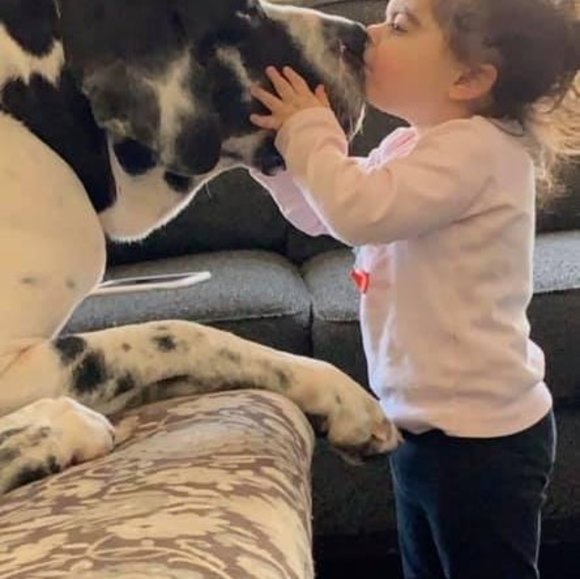 Meet your Posher, Johnathan - Picture 1 of 1